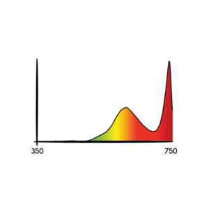 IR SPECTRUM