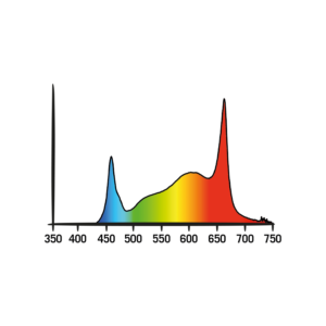 Bloom Spectrum