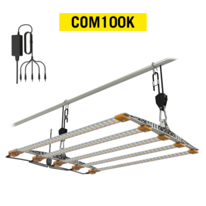 Cosmorrow 100K - Kit 100W