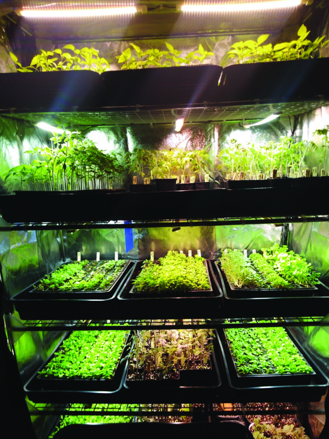 Secret Jardin - Indoor growing kits and professional equipment